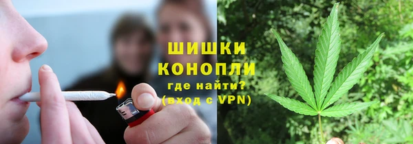 шишки Бронницы