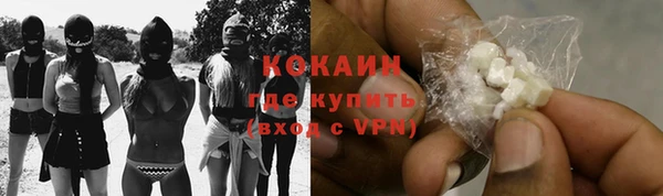 шишки Бронницы