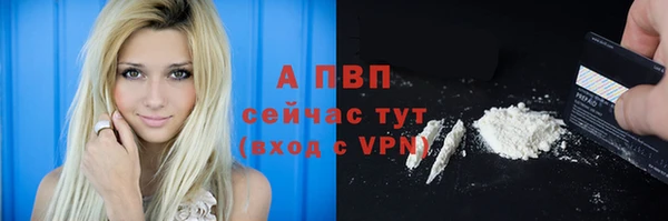 шишки Бронницы